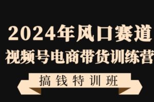 2024年风口赛道视频号电商带货训练营搞钱特训班，带领大家快速入局自媒体电商带货-麦资源网