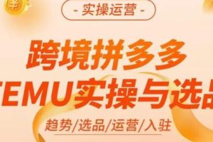 伍跃·跨境拼多多TEMU实操与选品，​趋势/选品/运营/入住（27节完整）-麦资源网