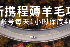 （7995期）最新携程薅羊毛项目，单账号每天1小时保底收益40+，可矩阵操作-麦资源网