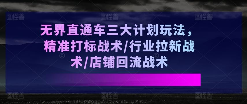 *直通车三大计划玩法，*打标战术/行业拉新战术/店铺回流战术