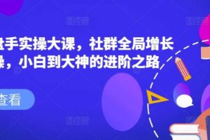 社群操盘手实操大课，社群全局增长成交实操，小白到大神的进阶之路-麦资源网