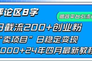 （9851期）评论区8字日载流200+创业粉  日稳定变现5000+24年四月最新教程！-麦资源网