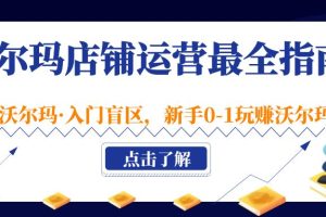 （5072期）沃尔玛店铺·运营最全指南，挖掘·沃尔玛·入门盲区，新手0-1玩赚沃尔玛-麦资源网