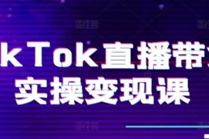 TikTok直播带货实操变现课：系统起号、科学复盘、变现链路、直播配置、小店操作流程、团队搭建等。-麦资源网