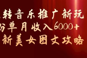 玩转音乐推广新玩法，0粉单月收入6000+，最新美女图文攻略【揭秘】-麦资源网