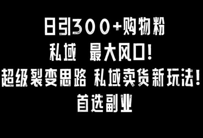 日引300+购物粉，*裂变思路，私域卖货新玩法，小红书*副业【揭秘】