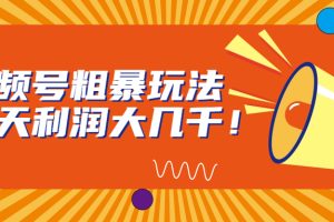 （6941期）视频号粗暴玩法，一天利润大几千！-麦资源网