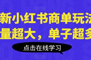 最新小红书商单玩法，流量超大，单子超多【揭秘】-麦资源网