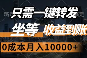 （12495期）只需一键转发，坐等收益到账，0成本月入10000+-麦资源网