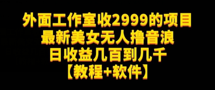外面工作室收2999的项目*美女无人撸音浪日收益几百到几千【教程+软件】（仅揭秘）