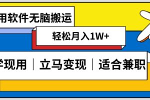 低密度新赛道视频无脑搬一天1000+几分钟一条原创视频零成本零门槛超简单【揭秘】-麦资源网