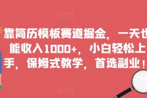 靠简历模板赛道掘金，一天也能收入1000+，小白轻松上手，保姆式教学，首选副业！-麦资源网