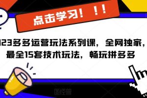 2023拼多多运营玩法系列课，全网独家，​最全15套技术玩法，畅玩拼多多-麦资源网