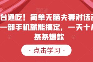 全平台通吃！简单无脑夫妻对话动画视频，一部手机就能搞定，一天十几条，条条爆款【揭秘】-麦资源网