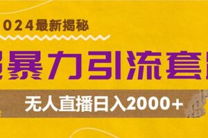 （12800期）超暴力引流套路，无人直播日入2000+-麦资源网