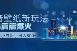 抖音壁纸号新玩法，一个作品只需要5分钟，条条爆款日收益1000＋-麦资源网