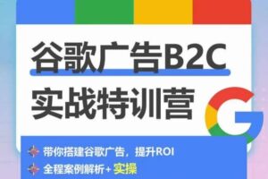 谷歌广告B2C实战特训营，500+谷歌账户总结经验，实战演示如何从0-1搭建广告账户-麦资源网