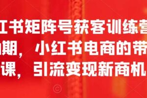 小红书矩阵号获客训练营第10期，小红书电商的带货课，引流变现新商机-麦资源网