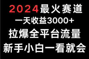 2024最火赛道，一天收一3000+.拉爆全平台流量，新手小白一看就会-麦资源网