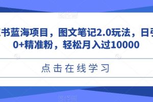 小红书蓝海项目，图文笔记2.0玩法，日引100+精准粉，轻松月入过10000【揭秘】-麦资源网
