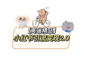 （5987期）小红书最新引流变现2.0教程，全网最新最详细的视频教程+素材-麦资源网