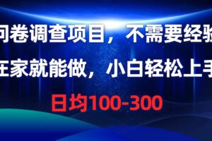 （10402期）问卷调查项目，不需要经验，在家就能做，小白轻松上手，日均100-300-麦资源网