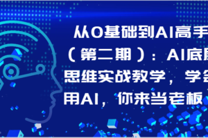 从0基础到AI高手：AI底层思维实战教学，学会用AI，你来当老板！-麦资源网