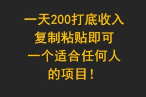 一天200打底收入,复制粘贴即可,一个适合任何人的项目!-麦资源网
