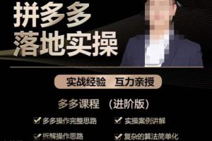 拼多多实战篇·落地实操：多多操作完整思路+实操案例讲解+拆解操作思路+复杂的算法简单化-麦资源网