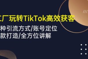 （10302期）外贸工厂玩转TikTok高效获客，多种引流方式/账号定位/爆款打造/全方位讲解-麦资源网