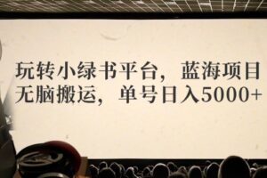 （12366期）玩转小绿书平台，蓝海项目，无脑搬运，单号日入5000+-麦资源网