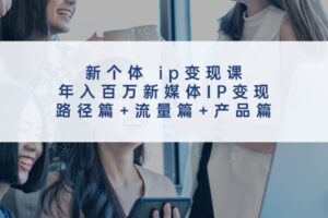 新个体ip变现课，年入百万新媒体IP变现，路径篇+流量篇+产品篇-麦资源网