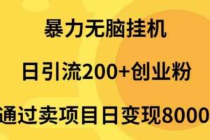 (9788期)暴力无脑挂机日引流200+创业粉通过卖项目日变现2000+-麦资源网