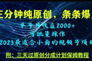 三分钟制作视频号纯原创，条条爆款，轻松月入过万【揭秘】-麦资源网