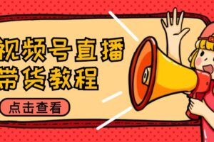 视频号直播带货教程：选品思路与话术拆解/掌握多种带货套路/提升直播效果-麦资源网