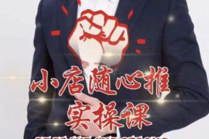 随心推线上课，小店随心推的投放逻辑，投放技巧，快速打标签-麦资源网