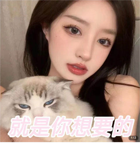 图片[2]-（5273期）微信交友变现项目，吸引全网LSP男粉精准变现，小白也能轻松上手，日入500+