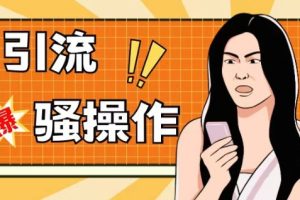 最新引流骚操作，单账号日引50-100，简单粗暴，适合于小白各行各业都可以进行操作，精准粉丝加到爆-麦资源网