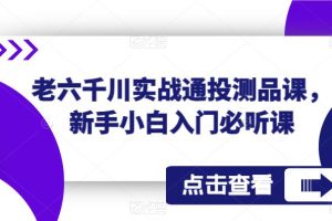 老六千川实战通投测品课，新手小白入门必听课-麦资源网