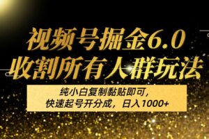视频号掘金6.0收割所有人群玩法！纯小白复制黏贴即可，快速起号开分成，日入1000+-麦资源网