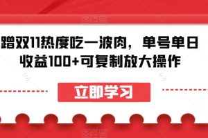 蹭双11热度吃一波肉，单号单日收益100+可复制放大操作【揭秘】-麦资源网