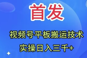 （7843期）全网首发：视频号平板搬运技术，实操日入三千＋-麦资源网
