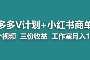 【蓝海项目】多多v计划+小红书商单一个视频三份收益工作室月入10w-麦资源网