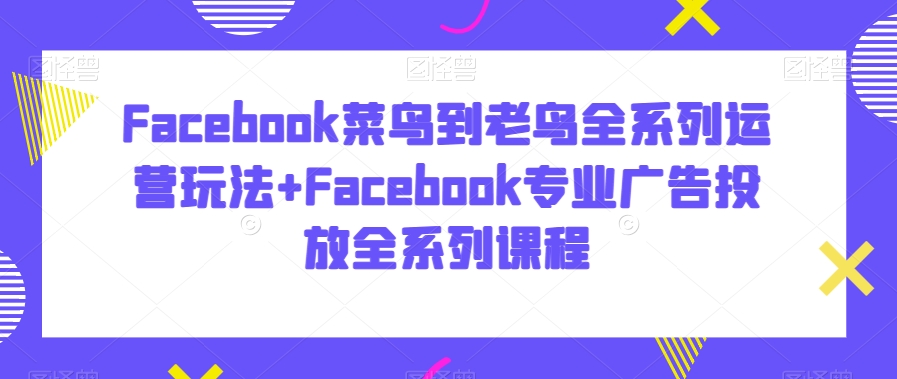 Facebook菜鸟到老鸟全系列运营玩法+Facebook*广告投放全系列课程