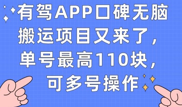 有驾APP口碑无脑搬运项目又来了，单号*110块，可多号操作