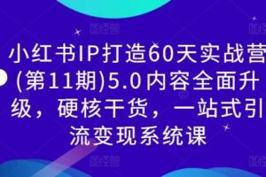 小红书IP打造60天实战营(第11期)5.0​内容全面升级，硬核干货，一站式引流变现系统课-麦资源网