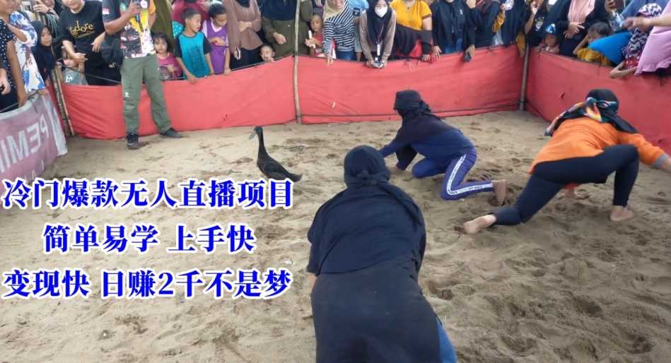 冷门*无人直播项目，简单易学上手快，变现快日赚2千不是梦【揭秘】