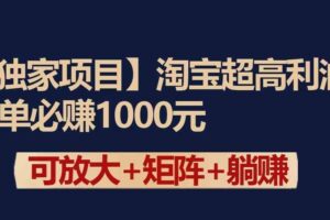 独家淘宝超高利润项目：1单必赚1000元，可放大可矩阵操作-麦资源网