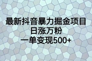 (6660期)最新抖音暴力掘金项目,日涨万粉,一单变现500+-麦资源网