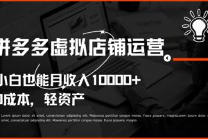 多多虚拟项目运营，小白也能月收入10000+-麦资源网